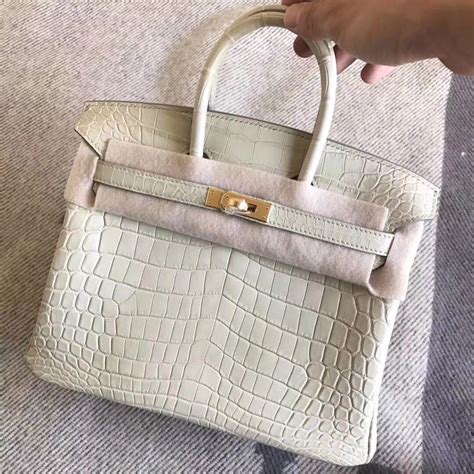 hermes 鱷魚 皮 價錢|Hermes Birkin 手袋價錢屢創新高！Hermes 經典 7 年售價急升 2.3 倍.